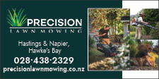 Precision Lawn Mowing